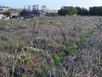 Vente de terrain Guissény 29