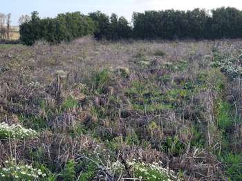 Vente de terrain Guissény 29