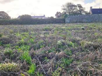 Vente Terrain 446 m&sup2;Guissény