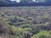 Vente de terrain