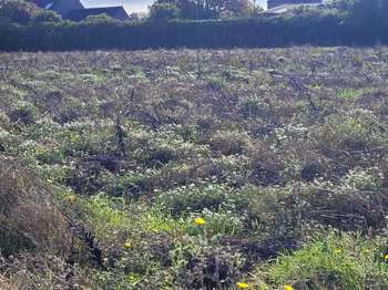 Vente Terrain 472 m&sup2;Guissény