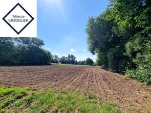 Vente Terrain 5090 m&sup2;Guitté