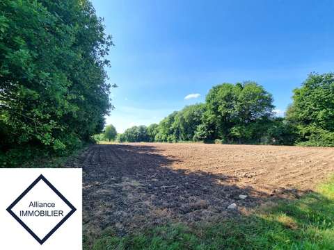 Vente de terrain