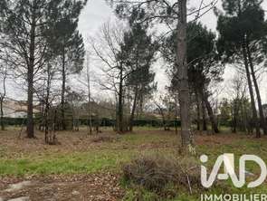 Vente Terrain 800 m&sup2;Gujan-Mestras