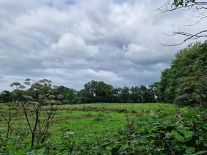 Vente Terrain 53971 m&sup2;Hambye