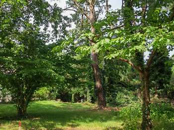 Vente Terrain 1320 m&sup2;Haute-Goulaine