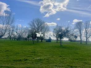 Vente Terrain 3187 m&sup2;Hauville