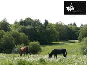 Vente Terrain 800 m&sup2;Hennebont