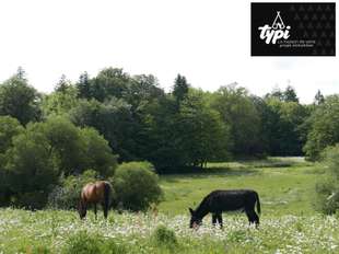 Photo Vente de terrain Hennebont