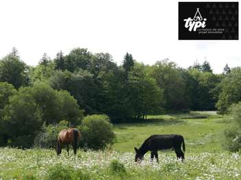 Vente de terrain Hennebont 56