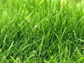 Vente Terrain 2170 m&sup2;Hénon