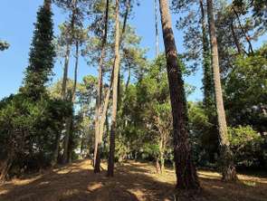 Vente Terrain 1435 m&sup2;Hossegor