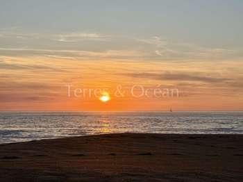 Vente Terrain 1000 m&sup2;Hossegor