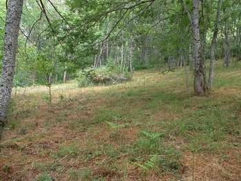 Vente de terrain