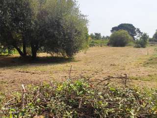 Vente de terrain