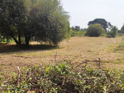Vente de terrain