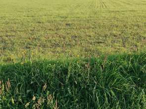 Vente Terrain 353 m&sup2;Inzinzac-Lochrist