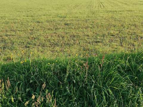 Vente de terrain Inzinzac-Lochrist 56