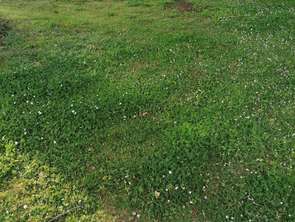 Vente Terrain 309 m&sup2;Inzinzac-Lochrist