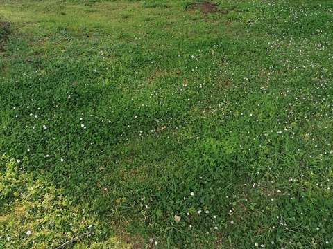 Vente de terrain Inzinzac-Lochrist 56