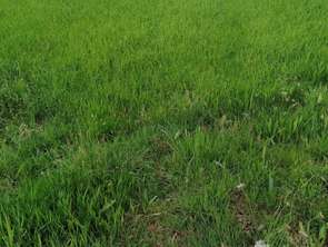Vente Terrain 255 m&sup2;Inzinzac-Lochrist