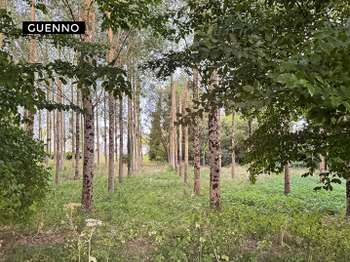 Vente Terrain 3890 m&sup2;Irodouër