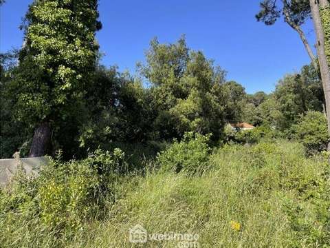 Vente de terrain