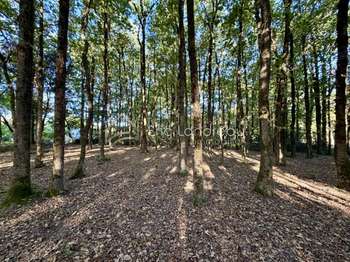 Photo Vente de terrain Jard-sur-Mer