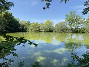 Vente Terrain 10201 m&sup2;Javron-les-Chapelles