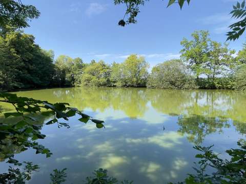 Vente de terrain Javron-les-Chapelles 53