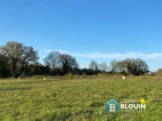 Vente de terrain