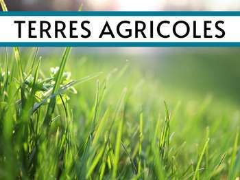 Vente Terrain 19432 m&sup2;Jullouville