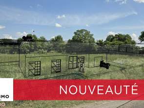 Vente Terrain 1031 m&sup2;Juscorps