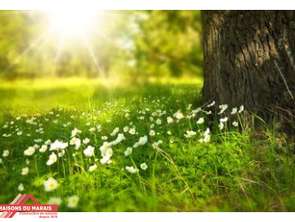 Vente Terrain 1301 m&sup2;Juscorps