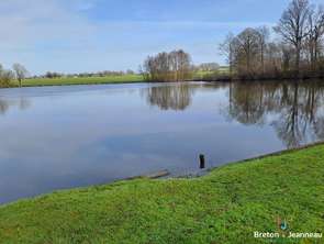 Vente Terrain 60000 m&sup2;Juvigné