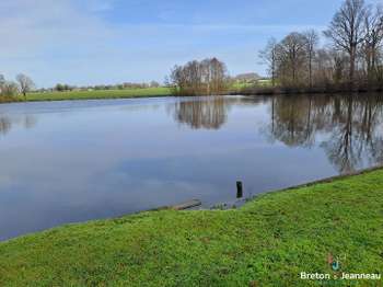 Vente Terrain 60000 m&sup2;Juvigné