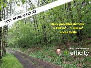 Vente Terrain 4160 m&sup2;Juvigny-les-Vallées