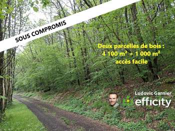 Vente Terrain 4160 m&sup2;Juvigny-les-Vallées