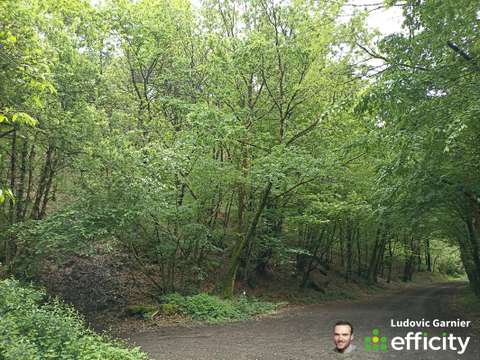 Vente de terrain