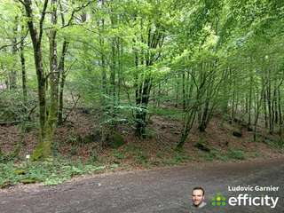 Vente de terrain
