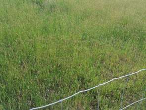 Vente Terrain 880 m&sup2;Kergrist