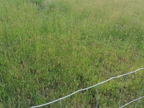 Vente de terrain Kergrist 56