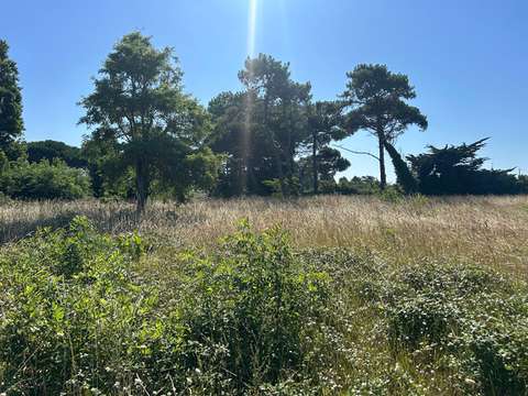 Vente de terrain