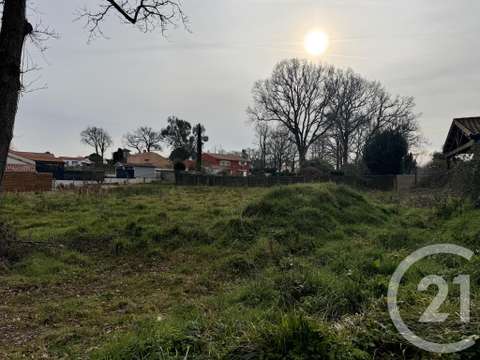 Vente de terrain