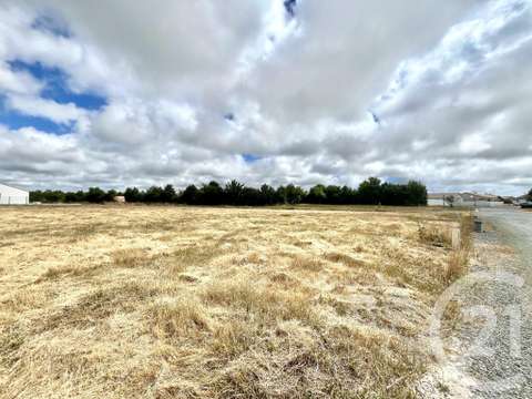 Vente de terrain