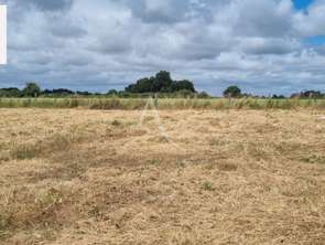 Vente Terrain 439 m&sup2;L'Aiguillon-sur-Vie