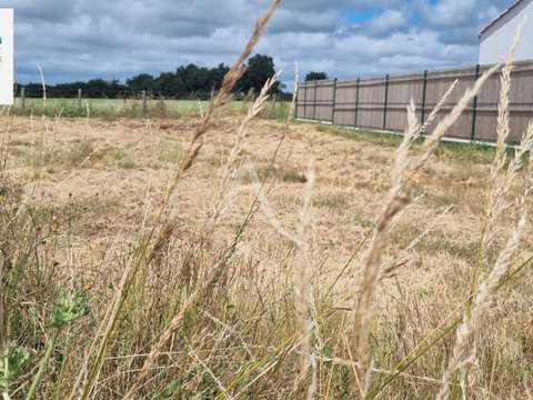 Vente de terrain L'Aiguillon-sur-Vie 85