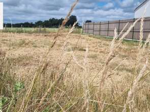 Vente Terrain 434 m&sup2;L'Aiguillon-sur-Vie