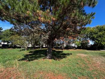 Vente de terrain L'Aiguillon-sur-Vie 85