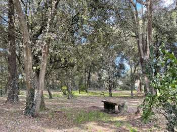 Vente de terrain L'Épine 85